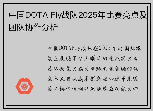 中国DOTA Fly战队2025年比赛亮点及团队协作分析